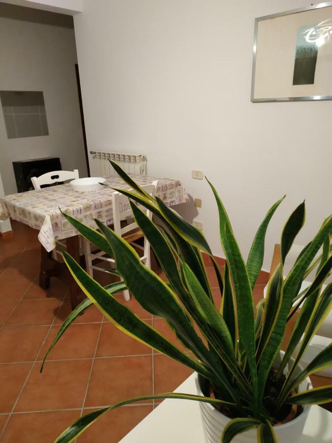 Gemini Appartamenti Grosseto Eksteriør bilde