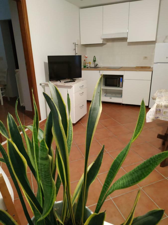 Gemini Appartamenti Grosseto Eksteriør bilde